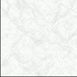 Auto Levels, чтобы акцентировать границы. 