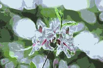 Фильтры подменю Brush Strokes