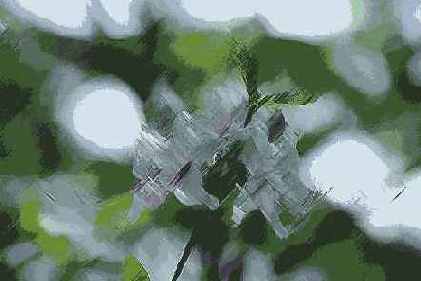 Фильтры подменю Brush Strokes