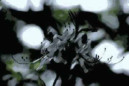 Фильтры подменю Brush Strokes