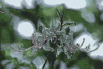 Фильтры подменю Brush Strokes