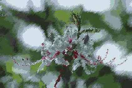 Фильтры подменю Brush Strokes